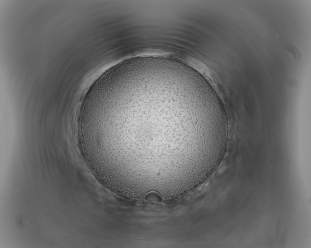 X0000113870337200910081731