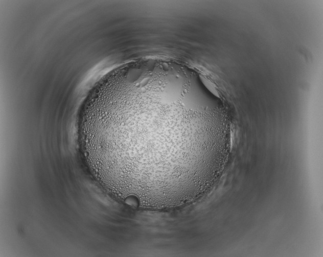 X0000113870339200910081731