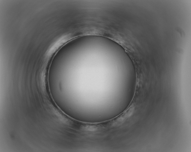 X0000113870341200910081731