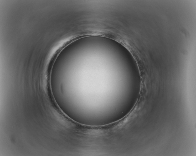 X0000113870342200910081731