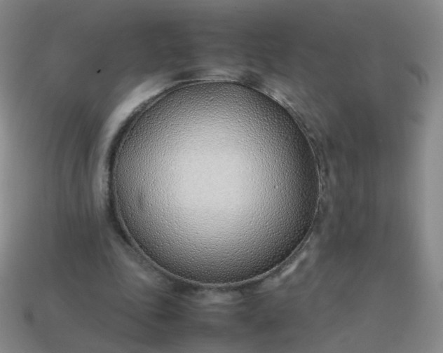 X0000113870343200910081731