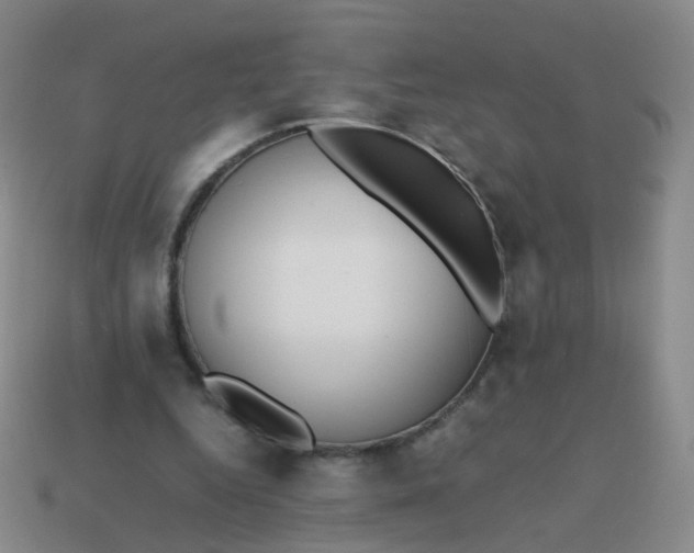 X0000113870344200910081731