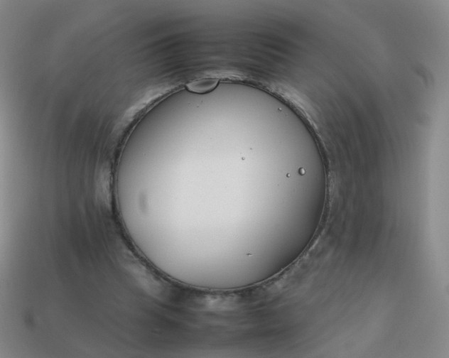 X0000113870345200910081731