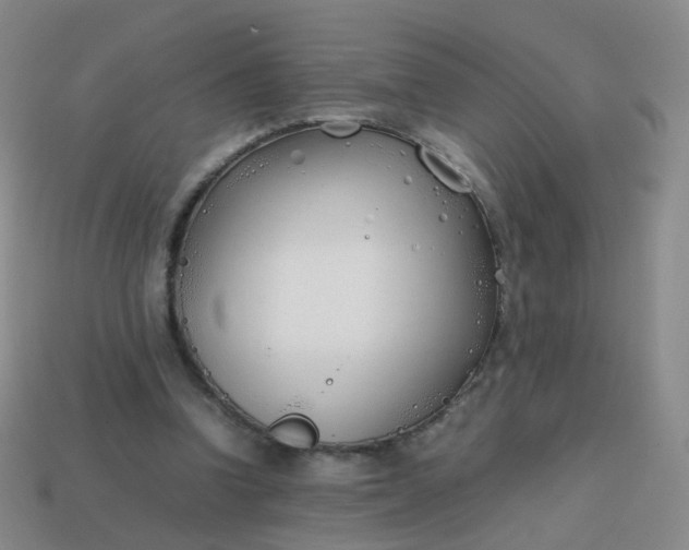 X0000113870346200910081731