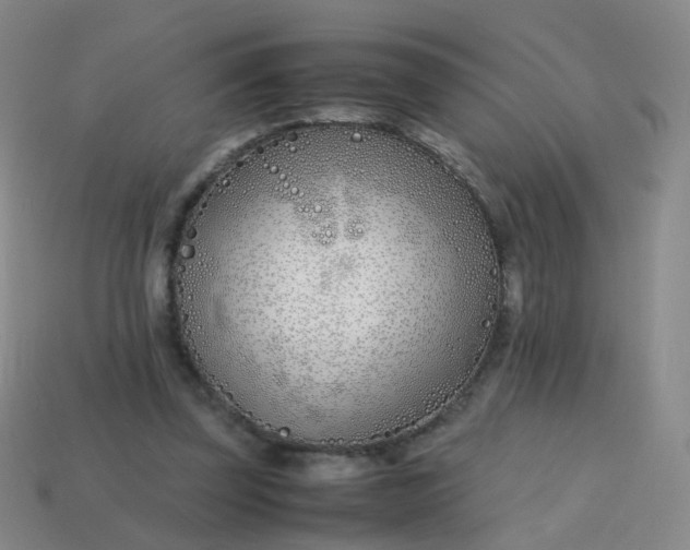 X0000113870347200910081731