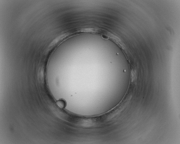 X0000113870349200910081731