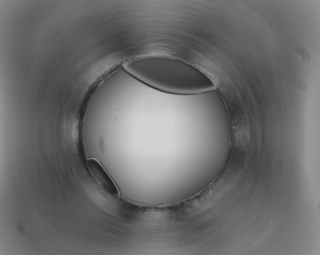 X0000113870350200910081731