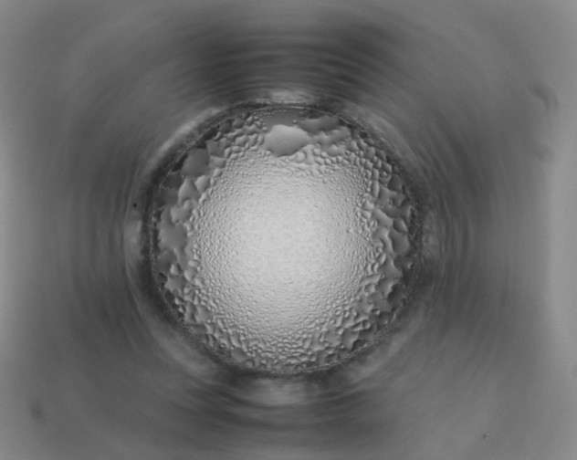 X0000113870351200910081731