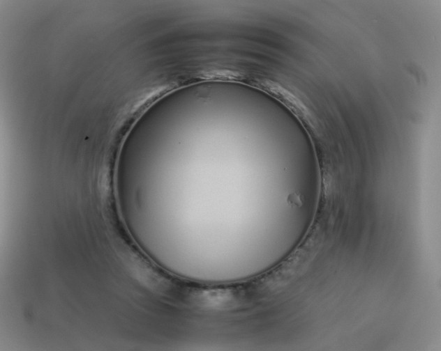 X0000113870353200910081731