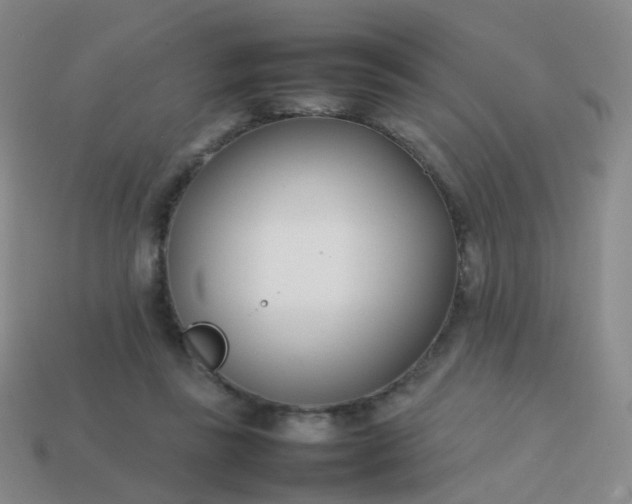 X0000113870355200910081731