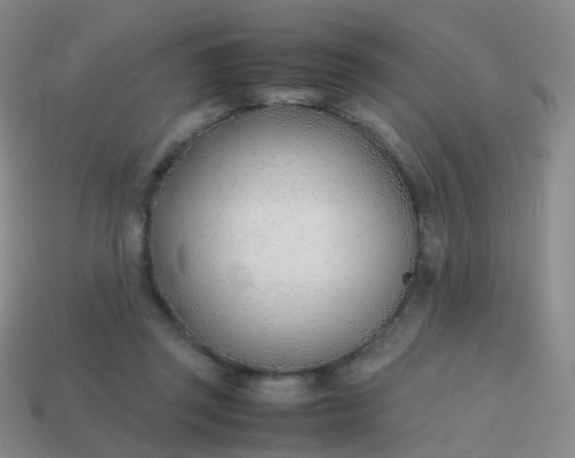 X0000113870357200910081731