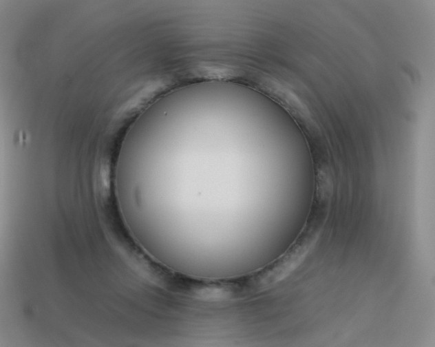 X0000113870358200910081731