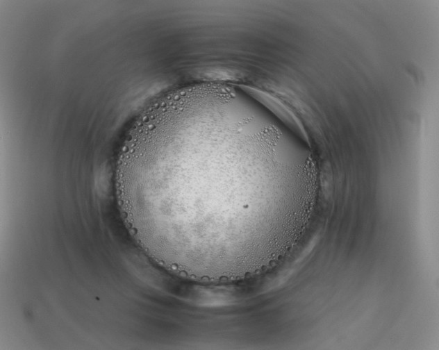 X0000113870359200910081731