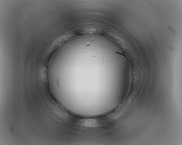 X0000113870361200910081731