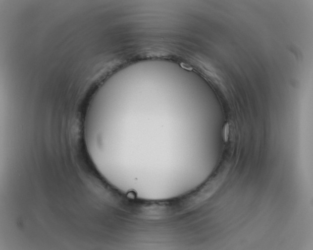 X0000113870362200910081731