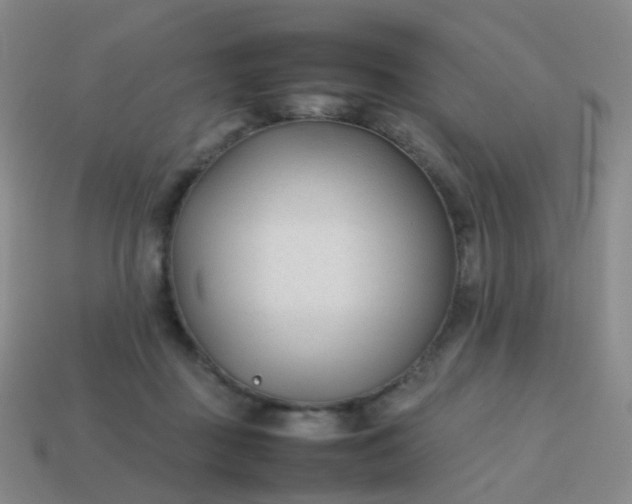 X0000113870363200910081731