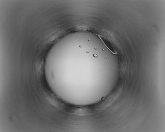 X0000113870364200910081731