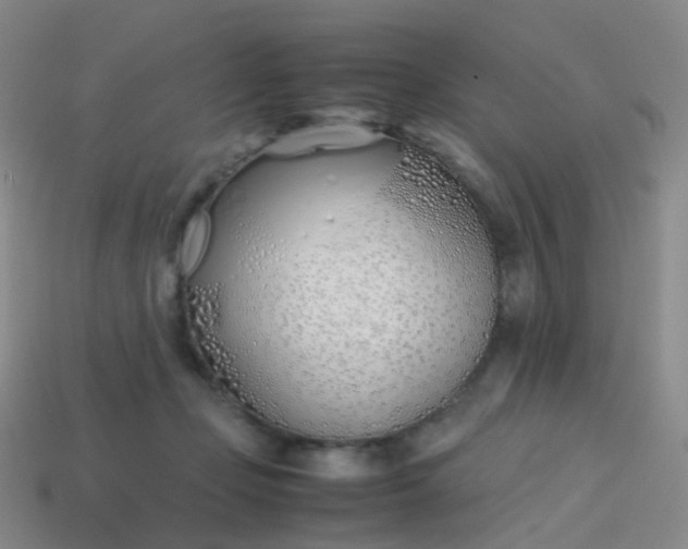 X0000113870365200910081731