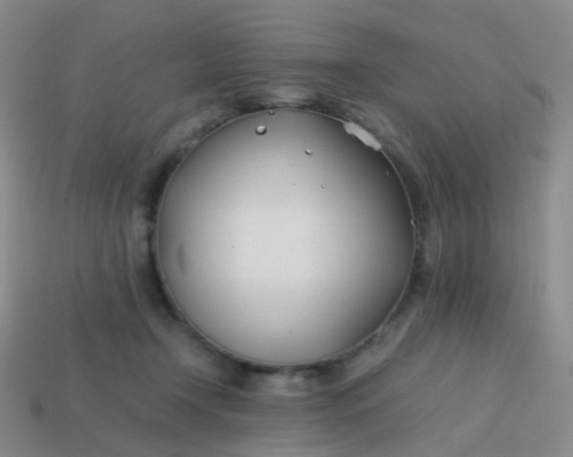 X0000113870366200910081731