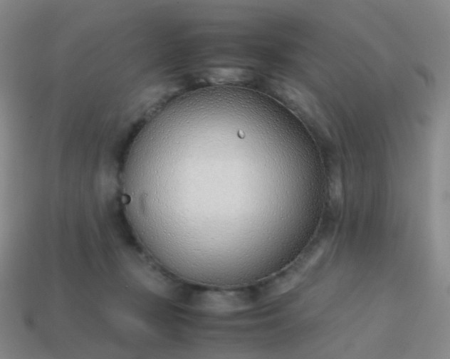 X0000113870367200910081731