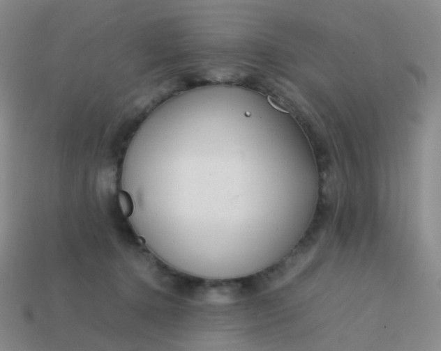 X0000113870368200910081731