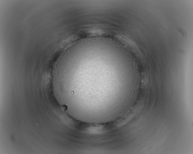 X0000113870369200910081731