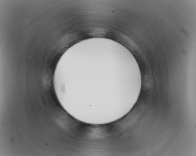 X0000113870370200910081731