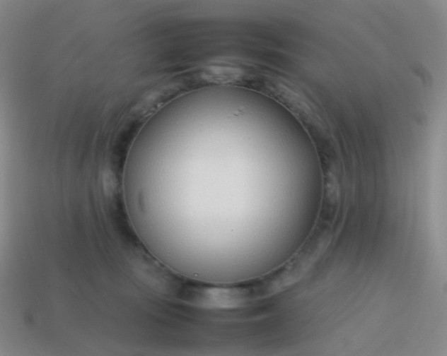 X0000113870371200910081731