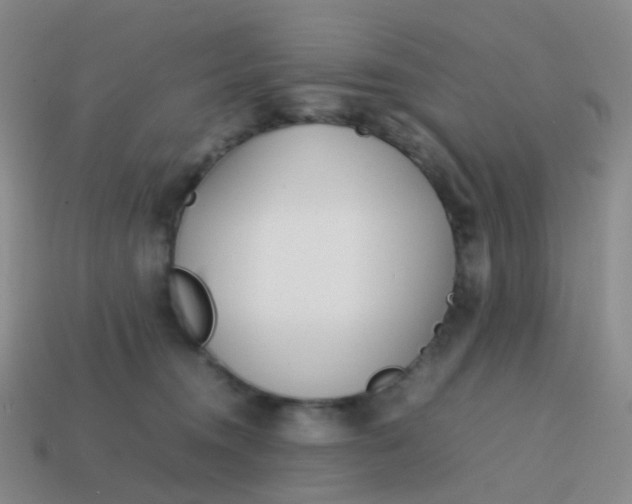 X0000113870372200910081731