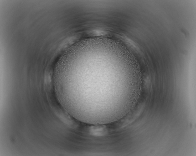 X0000113870373200910081731