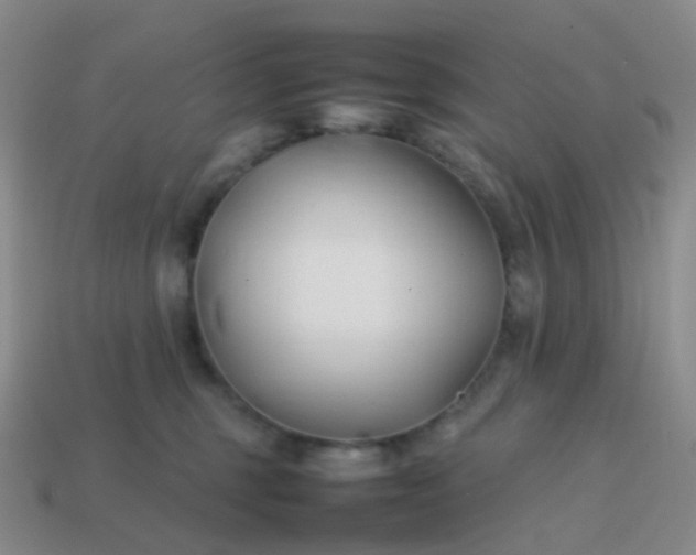 X0000113870375200910081731