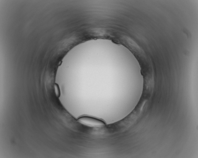 X0000113870376200910081731