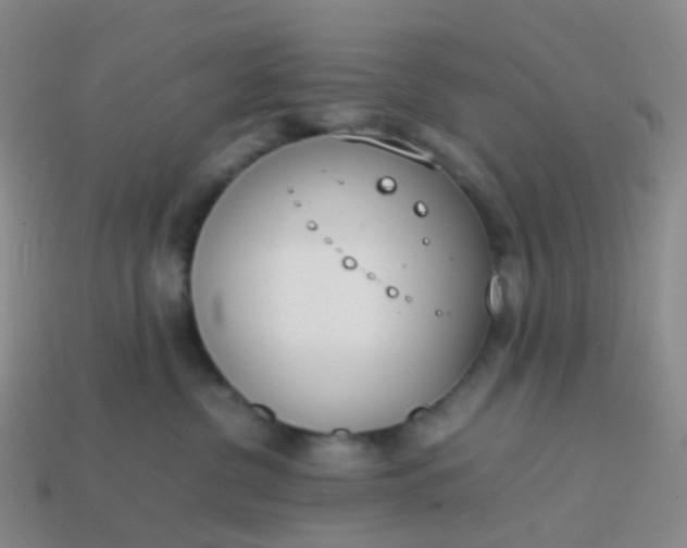 X0000113870380200910081732