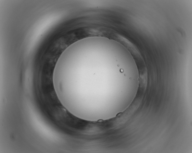 X0000113870381200910081732