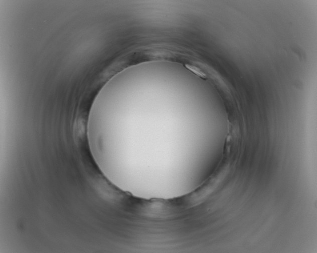 X0000113870382200910081732