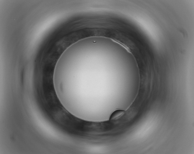 X0000113870383200910081732