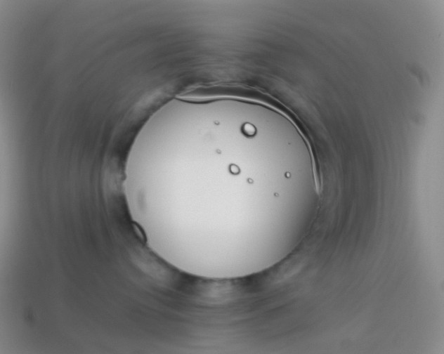 X0000113870384200910081732