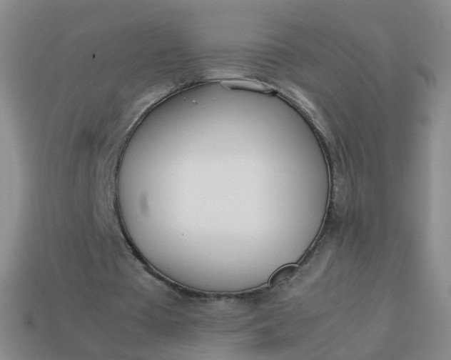 X0000113870385200910081731