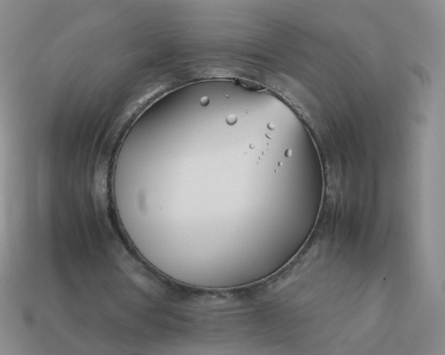 X0000113870386200910081731