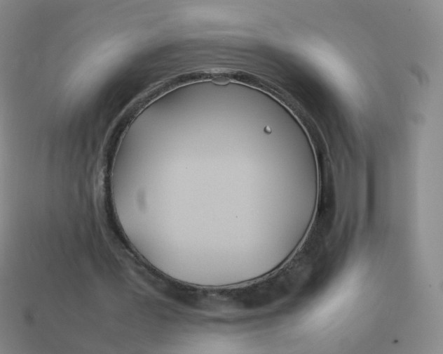 X0000113870387200910081731