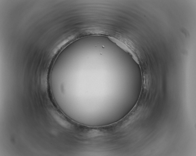 X0000113870390200910081731