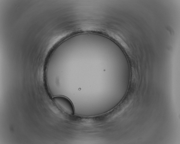 X0000113870391200910081731