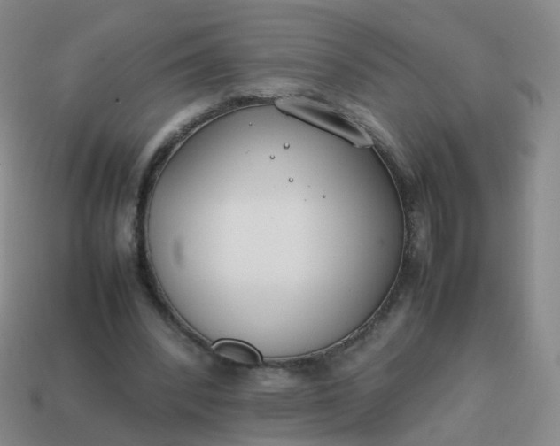 X0000113870392200910081731