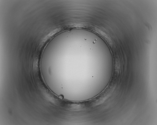 X0000113870394200910081731