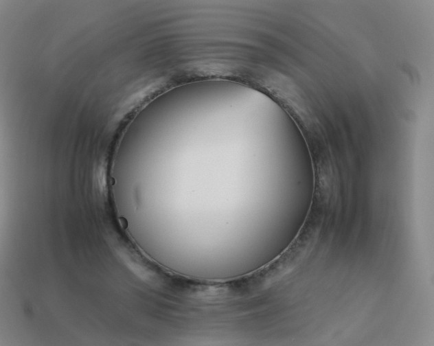 X0000113870398200910081731