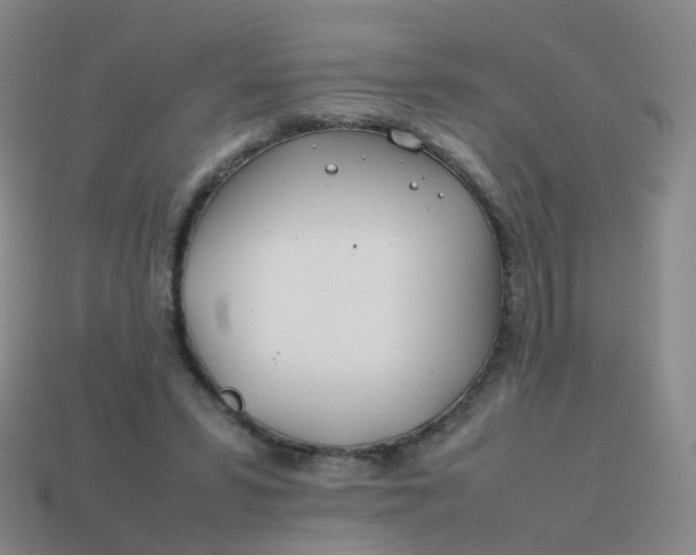 X0000113870399200910081731