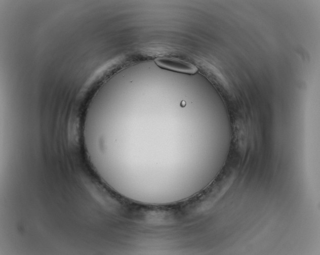 X0000113870400200910081731