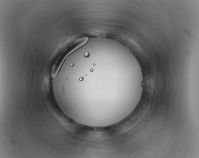 X0000113870404200910081731