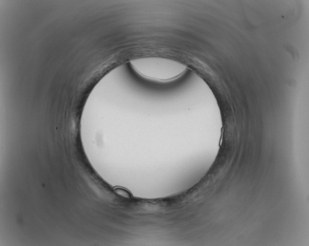 X0000113870405200910081731