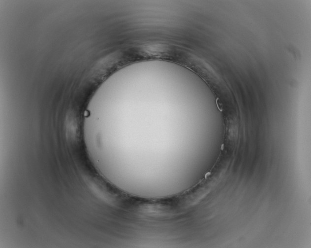 X0000113870408200910081731